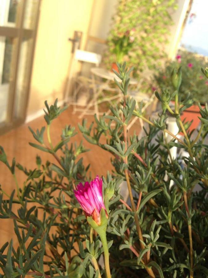 Leucosia Bed & Breakfast Salerno Luaran gambar